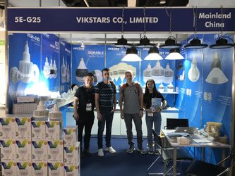 Vikstars Co., Limited निर्माता उत्पादन लाइन