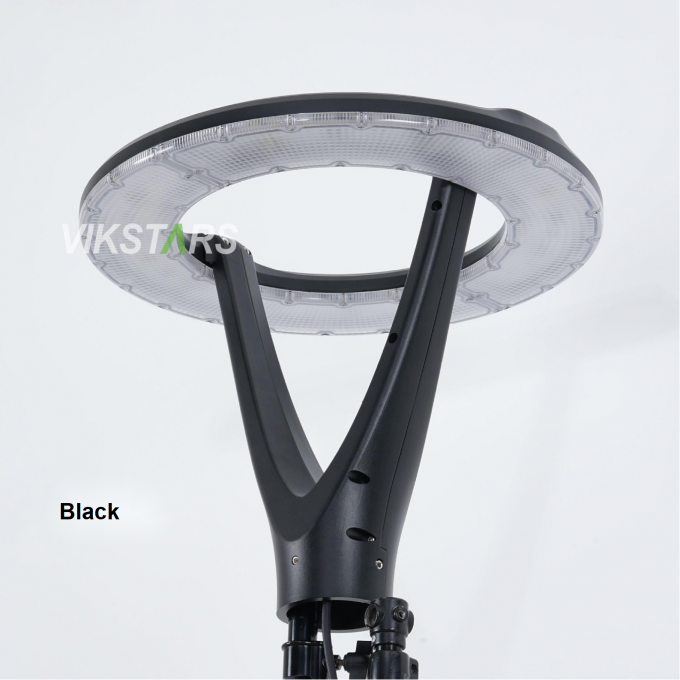 100W नई उद्यान रोशनी 2 साल की वारंटी 100lm/w थोक के लिए सस्ती कीमत 3