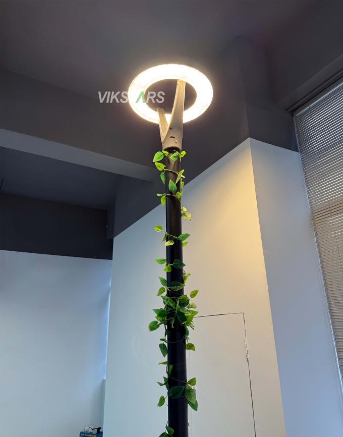 100W नई उद्यान रोशनी 2 साल की वारंटी 100lm/w थोक के लिए सस्ती कीमत 10